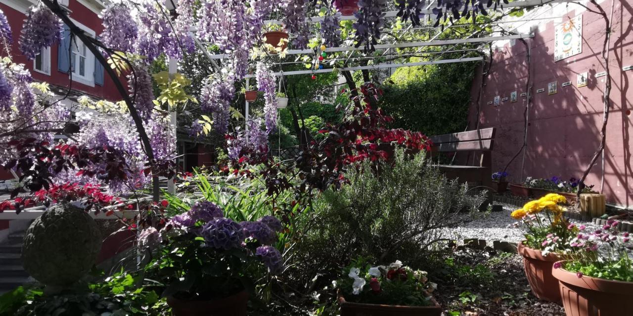 Charming Apartment In A 19Th Century Villa Τεργέστη Εξωτερικό φωτογραφία